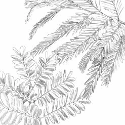 Parure De Lit Monstera Blanc Et Vert 240x220 Atmosphera -Ledepot Soldes Magasin parure de lit monstera blanc et vert 240x220 atmosphera 4