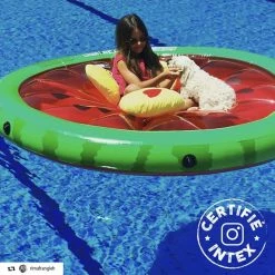 Pastèque Gonflable Grand Modèle 1.83 M Intex -Ledepot Soldes Magasin pasteque gonflable grand modele 183 m intex 2